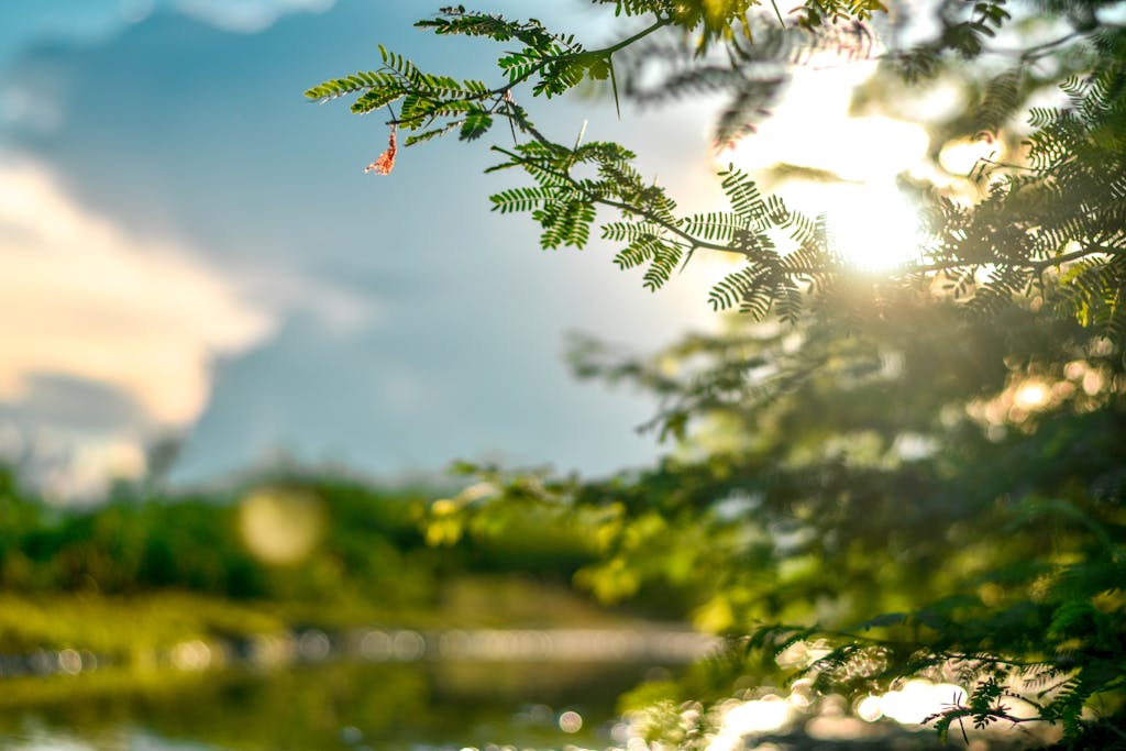 habits to start building connection — hand reaching toward sunlight